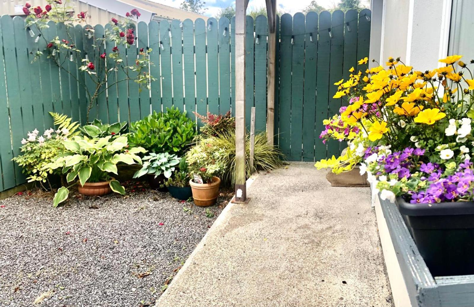 Swallow'S Rest Garden Apartment 阿什本 外观 照片